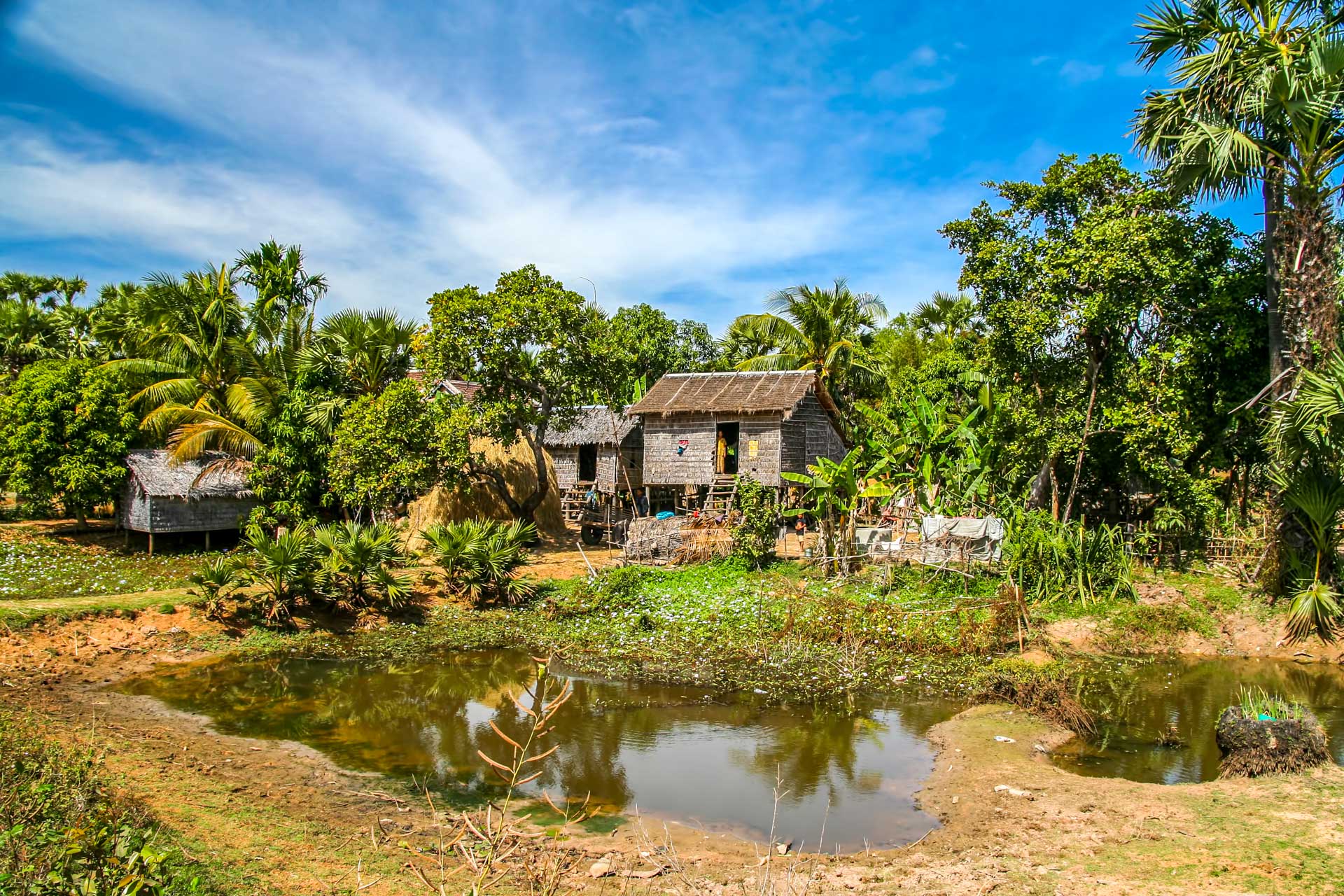 /fm/Files//Pictures/Ido Uploads/Asia/cambodia/General/Cambodia - Local Village House - SS.jpg